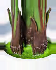 Bastide Travelers Palm Tree — close-up detail 2, artificial travelers palm tree