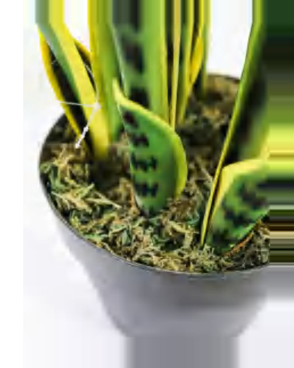 Ferrade Snake Plant — close-up detail 2, artificial snake plant