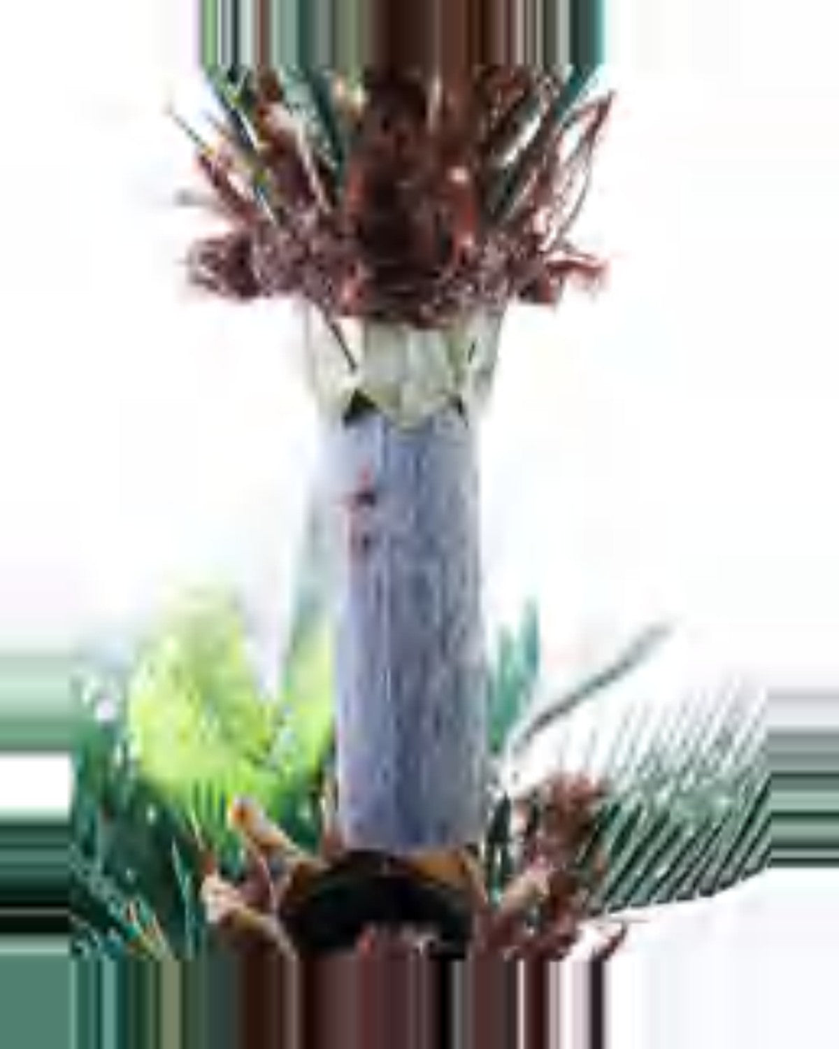 Amandier Sago Palm — close-up detail 2, artificial sago palm