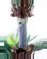 Amandier Sago Palm — close-up detail 2, artificial sago palm