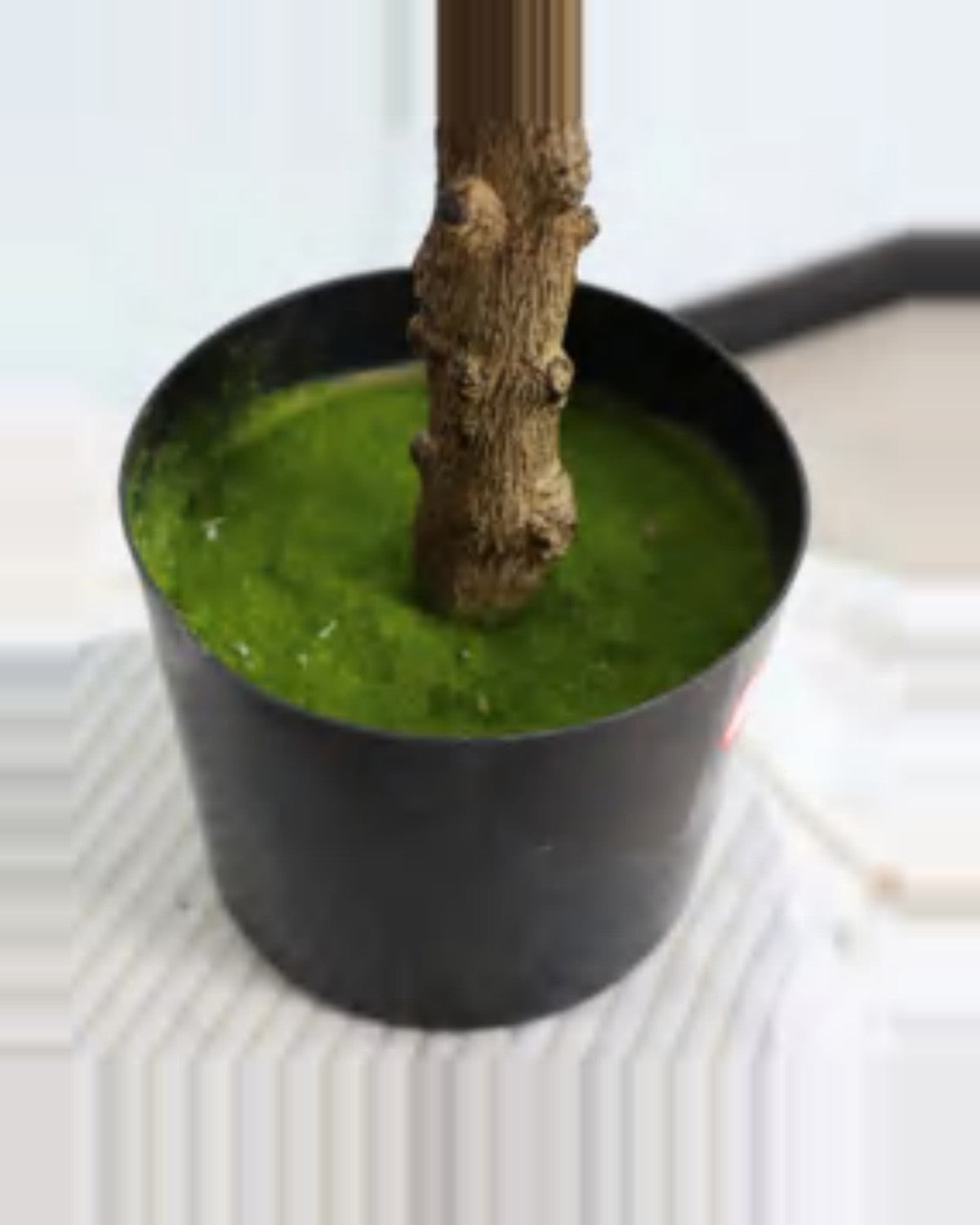 Fermo Olive Tree — close-up detail 7, artificial olive tree