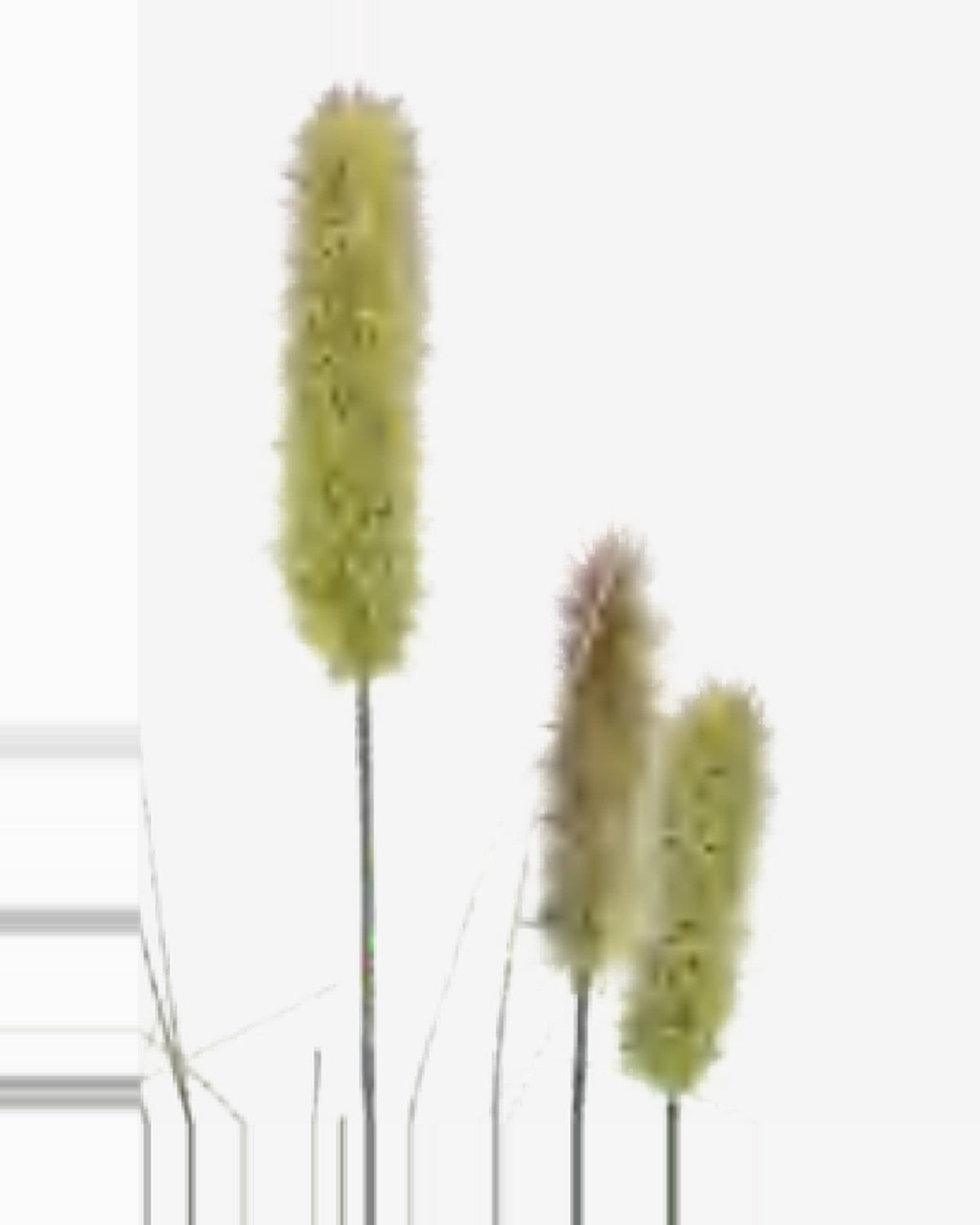 Argilla Onion Grass — close-up detail 2, artificial onion grass