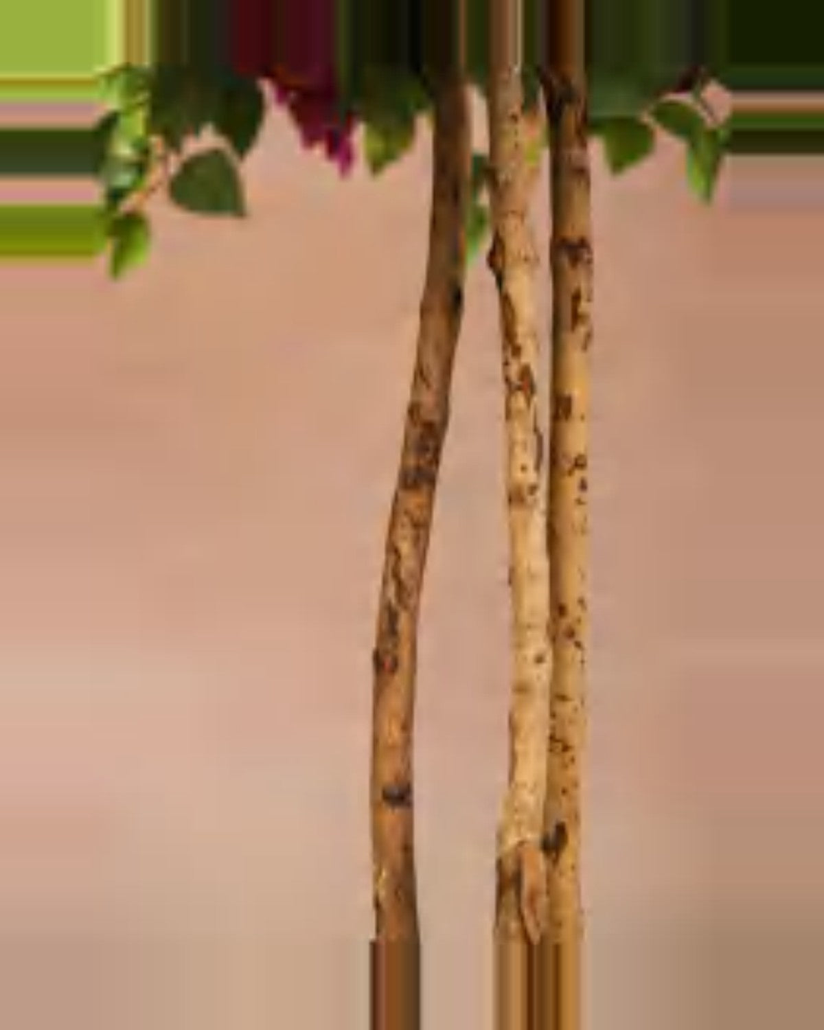 Vallon Bougainvillea Tree — close-up detail 2, artificial bougainvillea tree