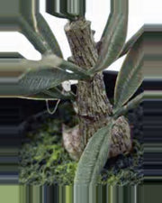 Capri Olive Tree — close-up detail 2, artificial olive tree