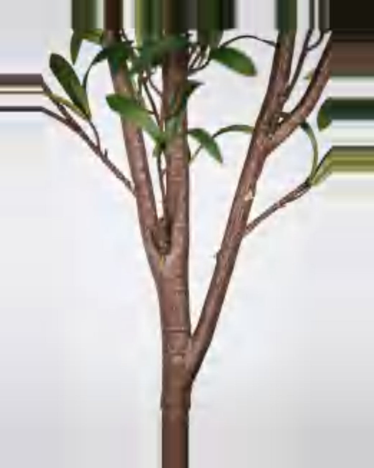 Montalcino Olive Tree — close-up detail 7, artificial olive tree