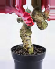 Sole Coral Cactus Plant — close-up detail 2, artificial coral cactus plant