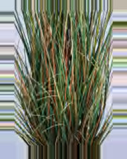 Pietra Onion Grass — close-up detail 2, artificial onion grass