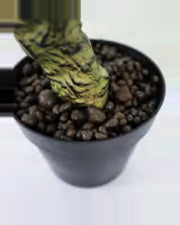 Vera Coral Cactus Plant — close-up detail 2, artificial coral cactus plant