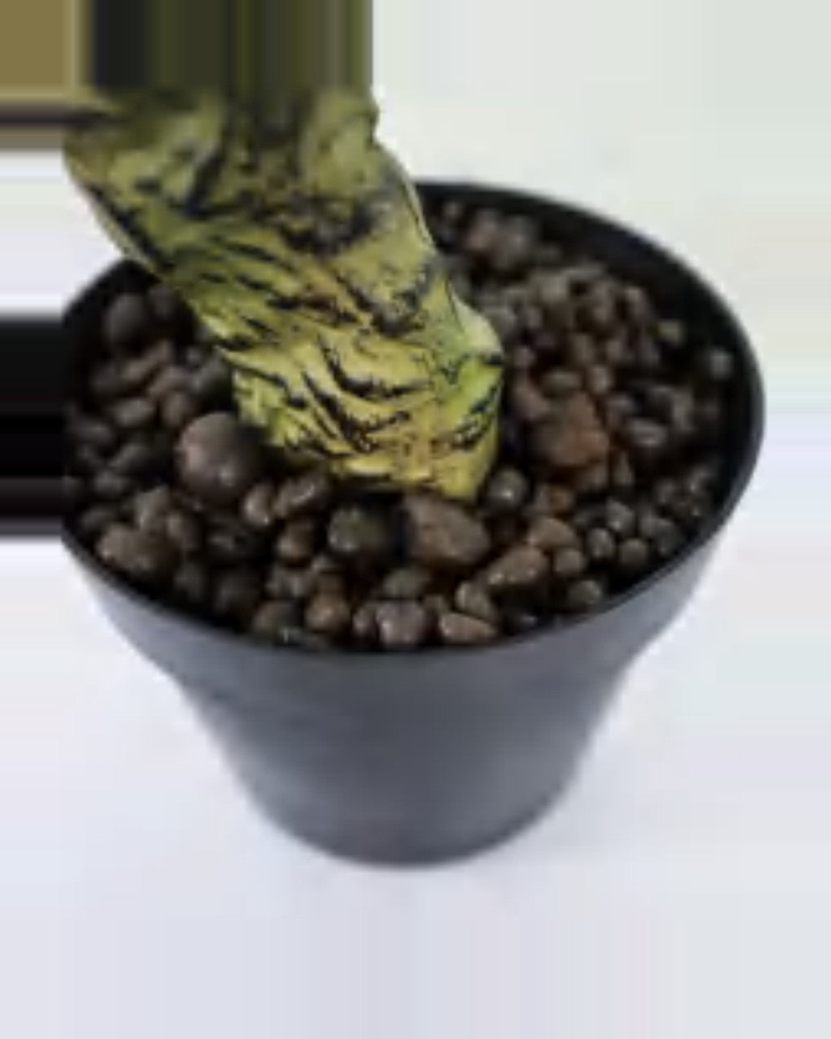 Vera Coral Cactus Plant — close-up detail 2, artificial coral cactus plant