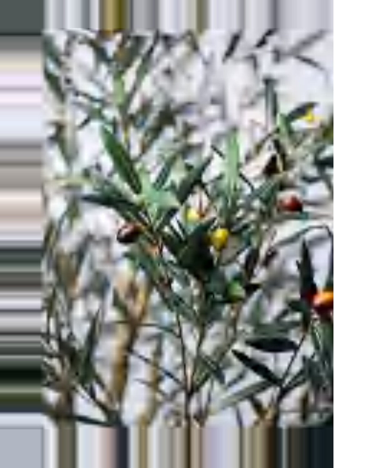Sorrento Olive Tree — close-up detail 2, artificial olive tree