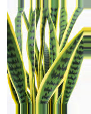 Oustau Snake Plant — close-up detail 2, artificial snake plant