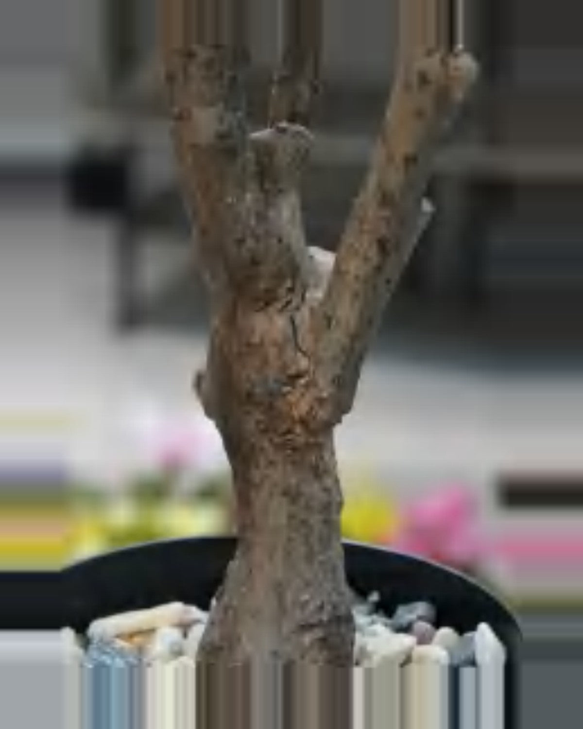 Argilla Island White Flower Tree For Decor — close-up detail 2, artificial island white flower tree for decor