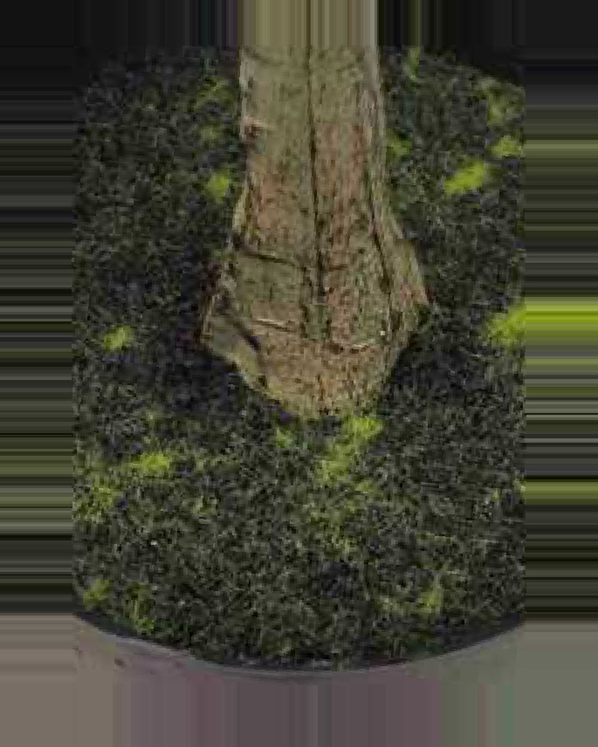 Cefalu Olive Tree — close-up detail 2, artificial olive tree