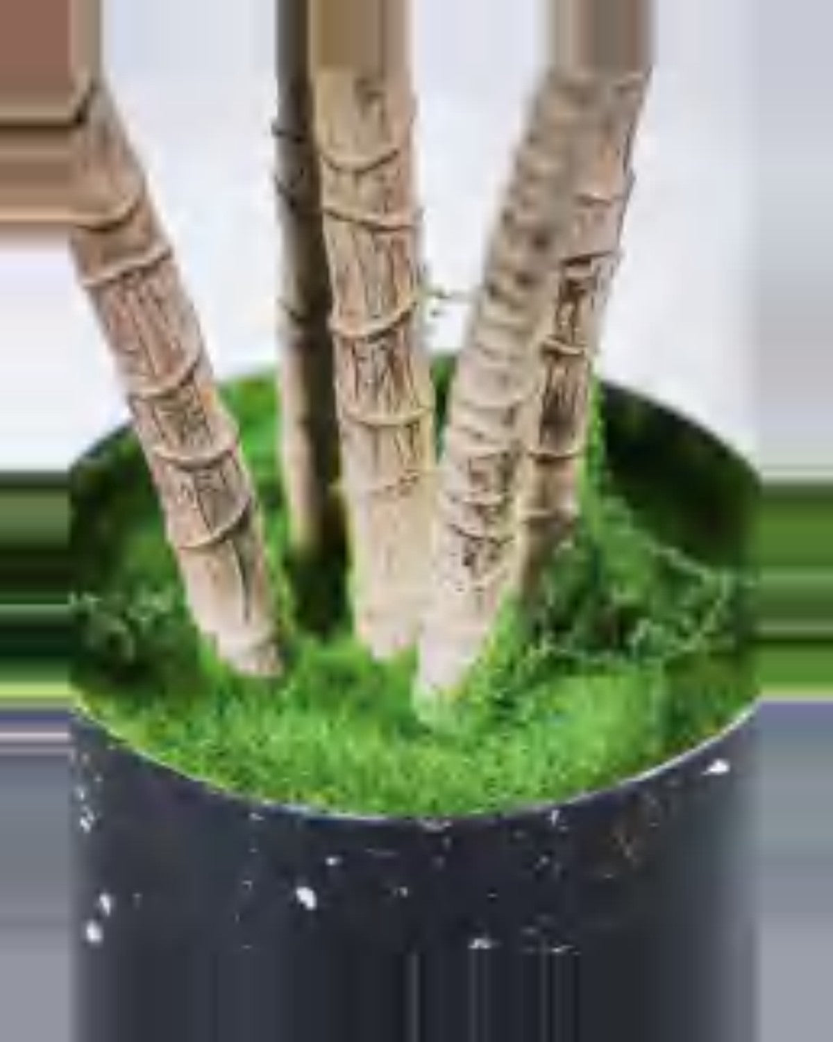 Farigoule Dracaena Plant — close-up detail 2, artificial dracaena plant