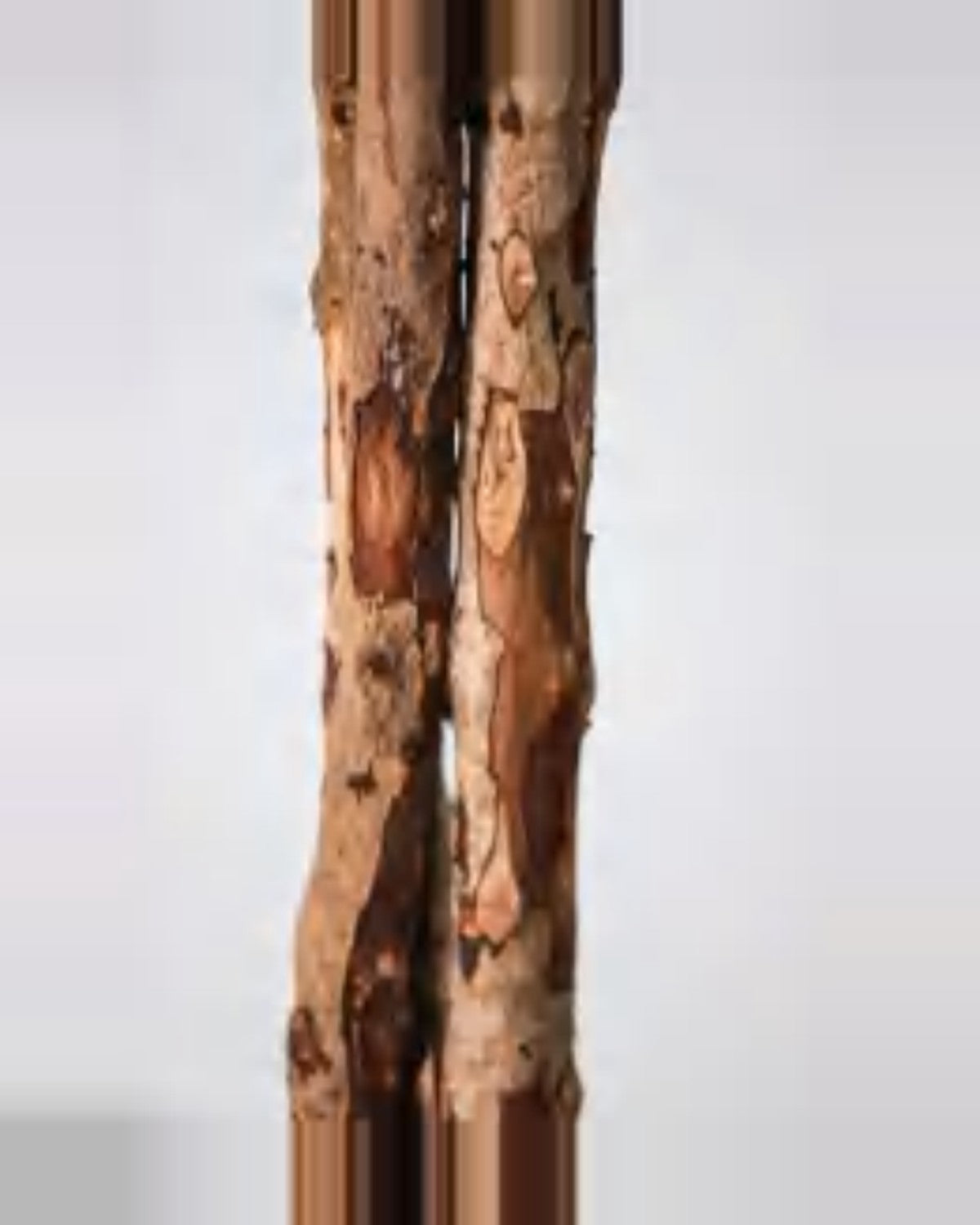 Vera Ficus Tree — close-up detail 2, artificial ficus tree