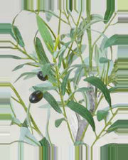 Ligurian Olive Fruit Leaf Tree — close-up detail 3, artificial olive fruit leaf tree