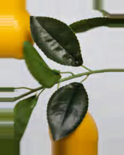 Pietra Lemon Tree — close-up detail 3, artificial lemon tree