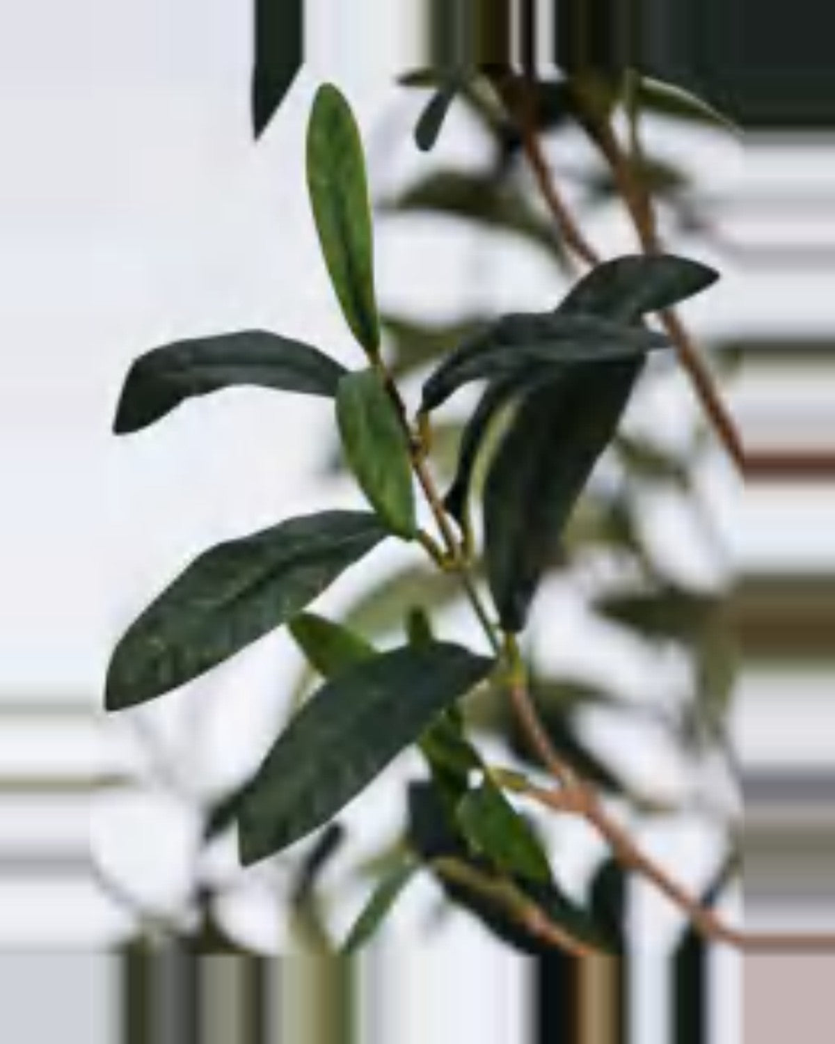 Spoleto Olive Tree — close-up detail 3, artificial olive tree