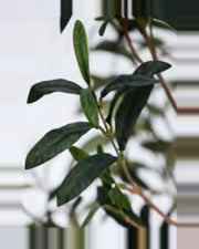 Spoleto Olive Tree — close-up detail 3, artificial olive tree