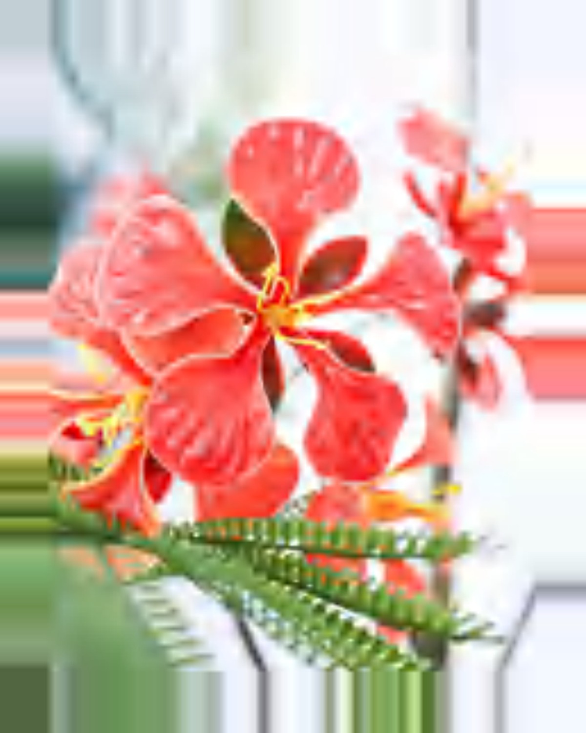 Cedre Royal Poinciana Tree — close-up detail 3, artificial royal poinciana tree