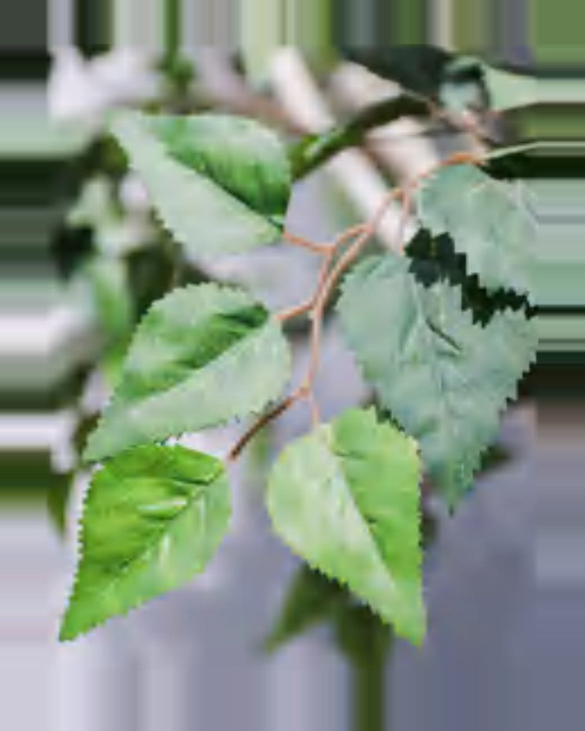 Pietra Birch Tree — close-up detail 3, artificial birch tree