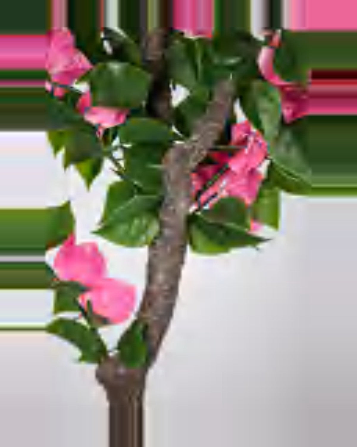 Oustau Bougainvillea Tree — close-up detail 3, artificial bougainvillea tree