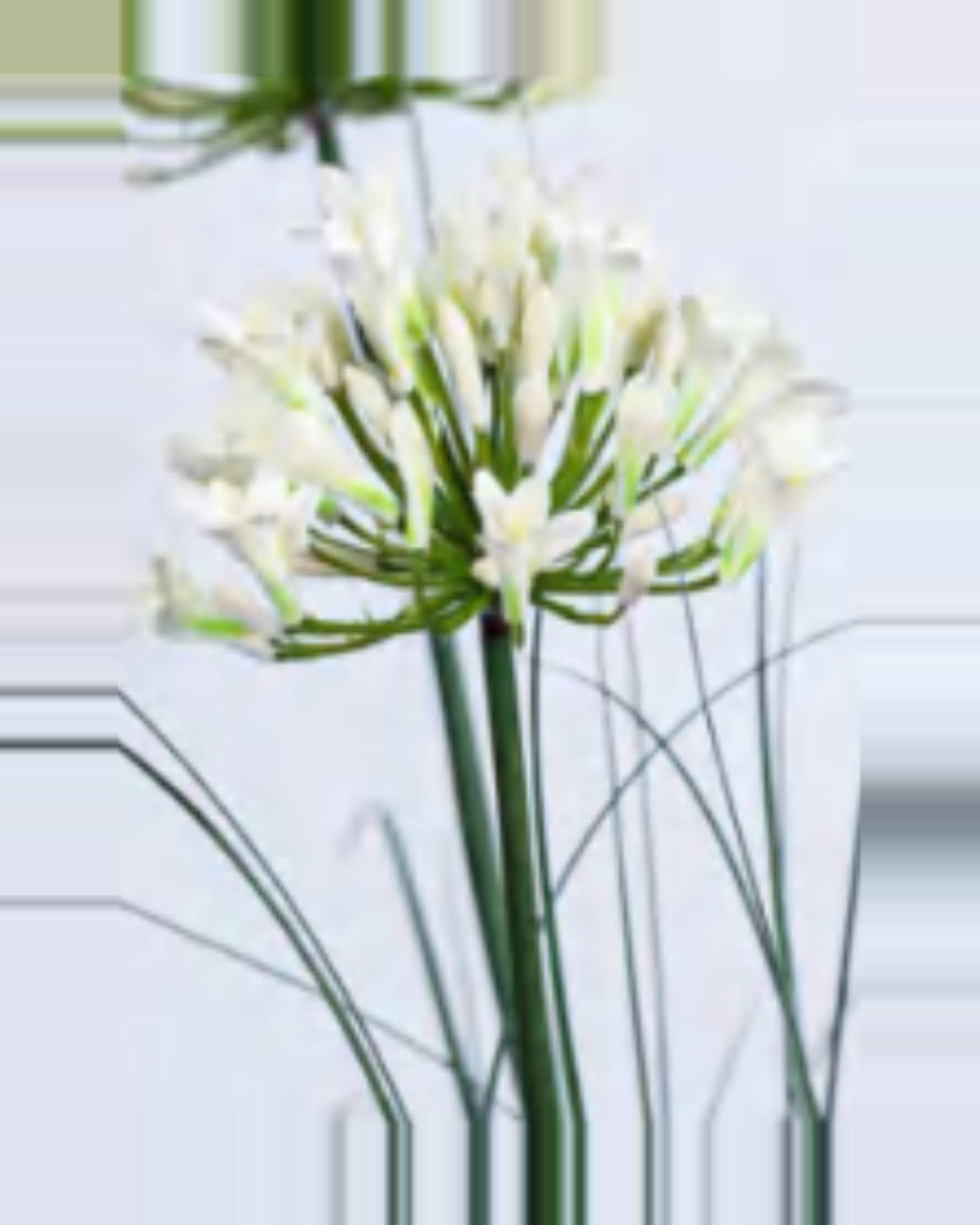 Ombra Agapanthus Onion Grass — close-up detail 3, artificial agapanthus onion grass