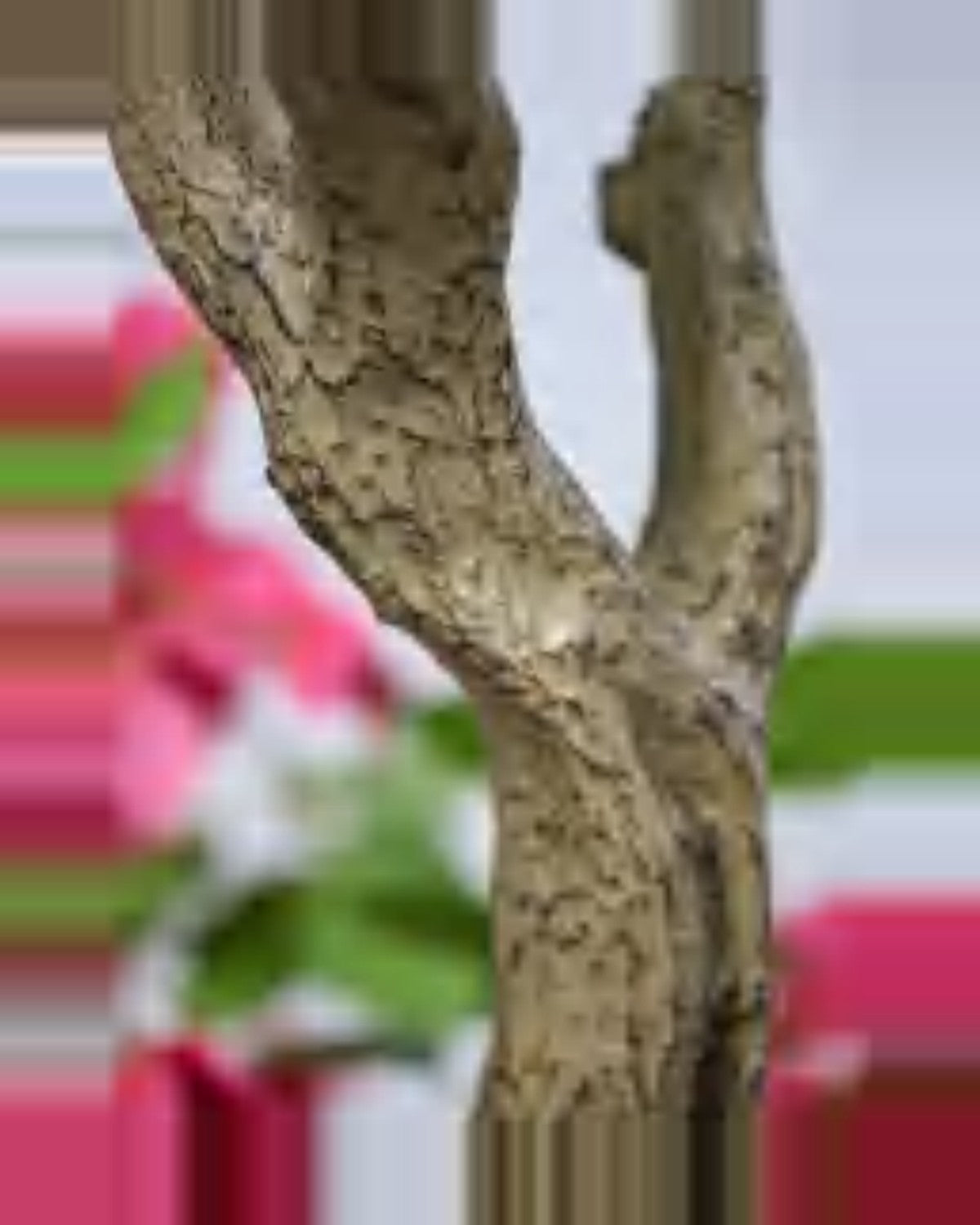 Cedre Bougainvillea Tree — close-up detail 3, artificial bougainvillea tree