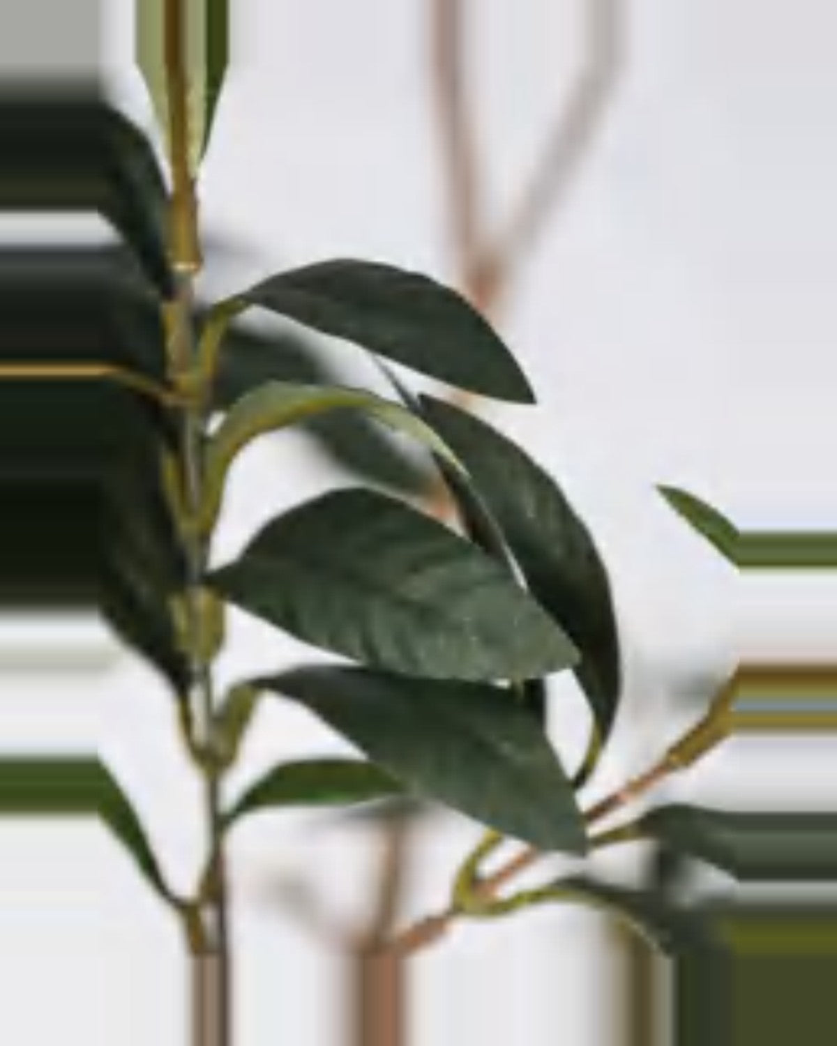 Ischia Olive Tree — close-up detail 3, artificial olive tree