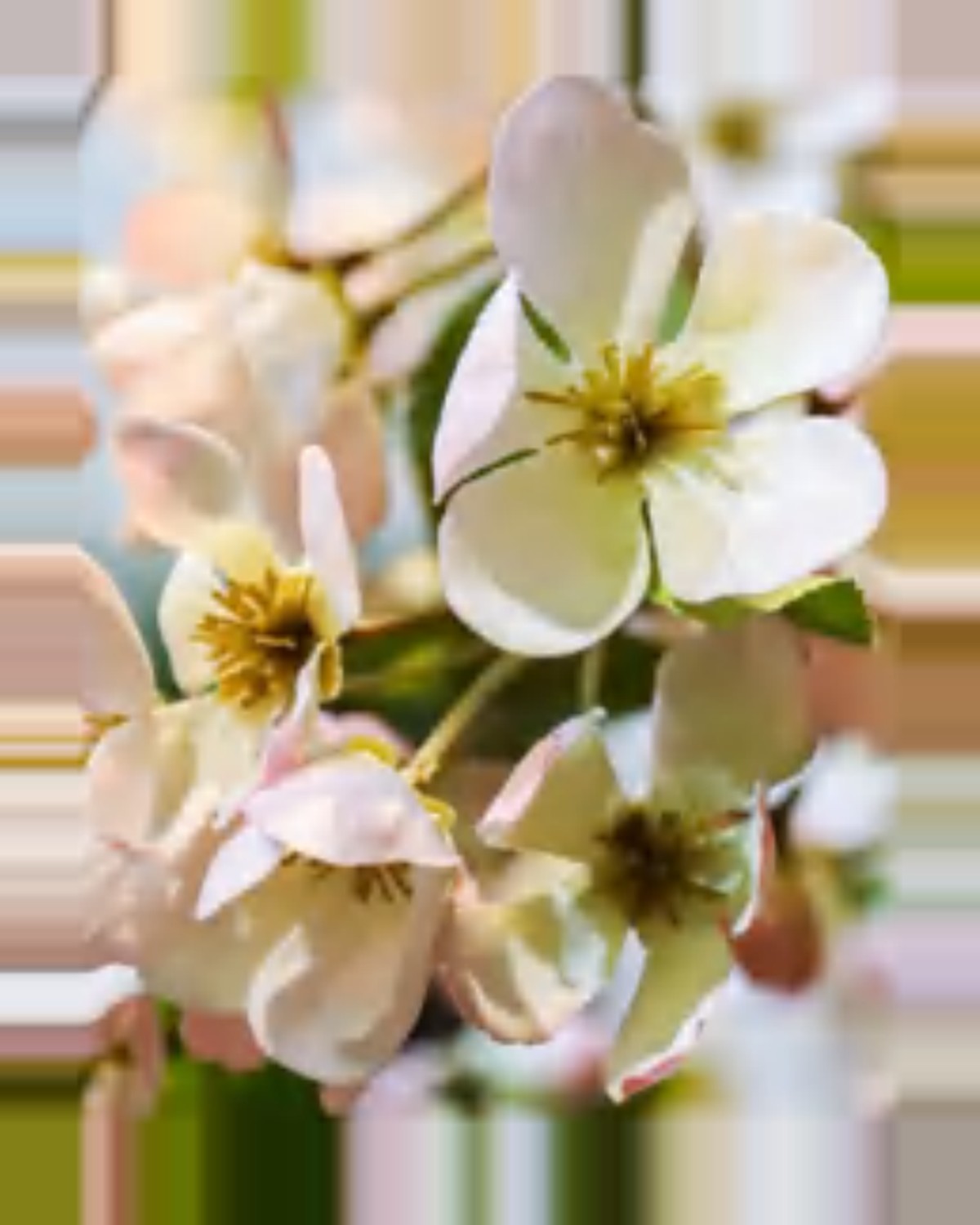 Cabanon Cherry Blossom Tree — close-up detail 3, artificial cherry blossom tree