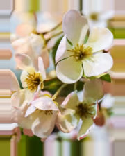 Cabanon Cherry Blossom Tree — close-up detail 3, artificial cherry blossom tree