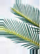 Draille Sago Palm — close-up detail 3, artificial sago palm