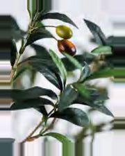 Urbino Olive Tree — close-up detail 3, artificial olive tree