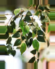 Onda Banyan Tree — close-up detail 3, artificial banyan tree