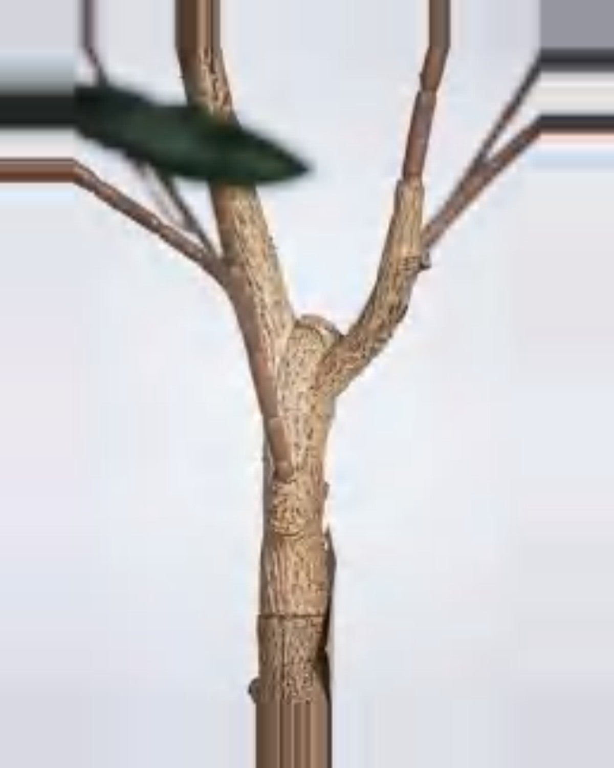 Assisi Olive Tree — close-up detail 3, artificial olive tree
