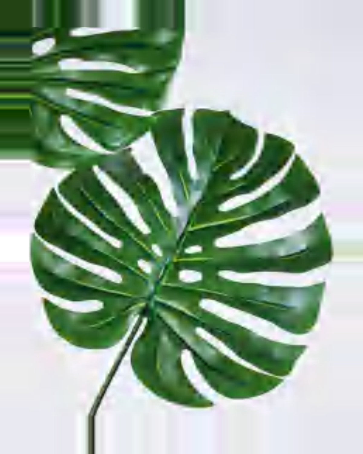 Argilla Monstera Plant — close-up detail 3, artificial monstera plant