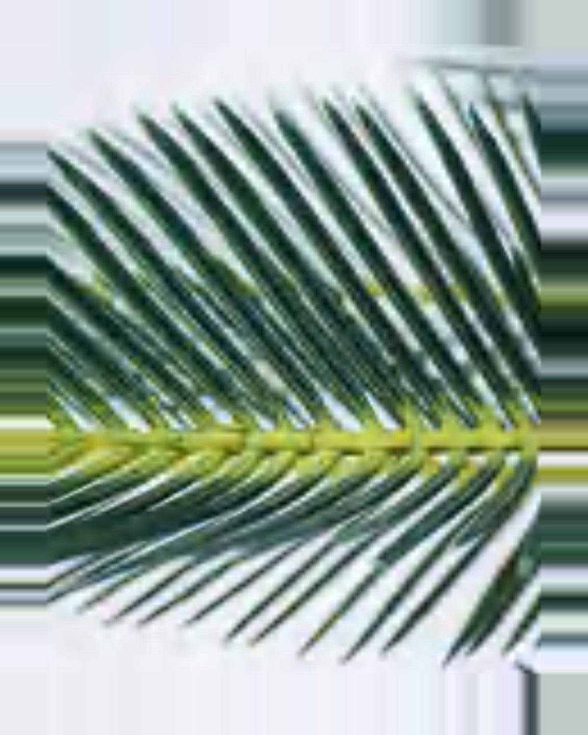 Clapas Sago Palm — close-up detail 3, artificial sago palm