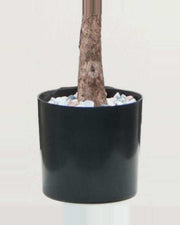 Sole Ficus Tree With Black Trunk — close-up detail 3, artificial ficus tree with black trunk