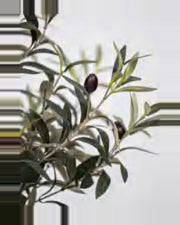 Positano Olive Tree — close-up detail 3, artificial olive tree