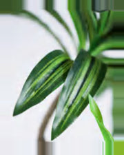 Alma Dracaena Plant — close-up detail 3, artificial dracaena plant
