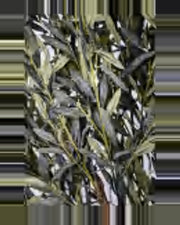 Pienza Olive Tree — close-up detail 3, artificial olive tree