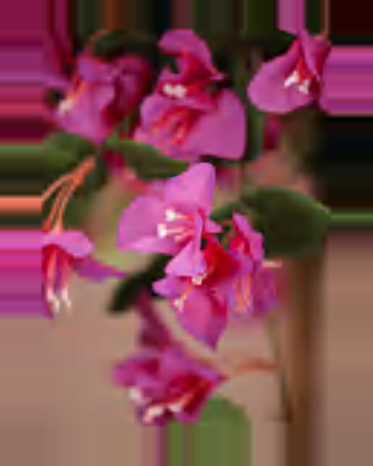 Garrigue Bougainvillea Tree — close-up detail 3, artificial bougainvillea tree