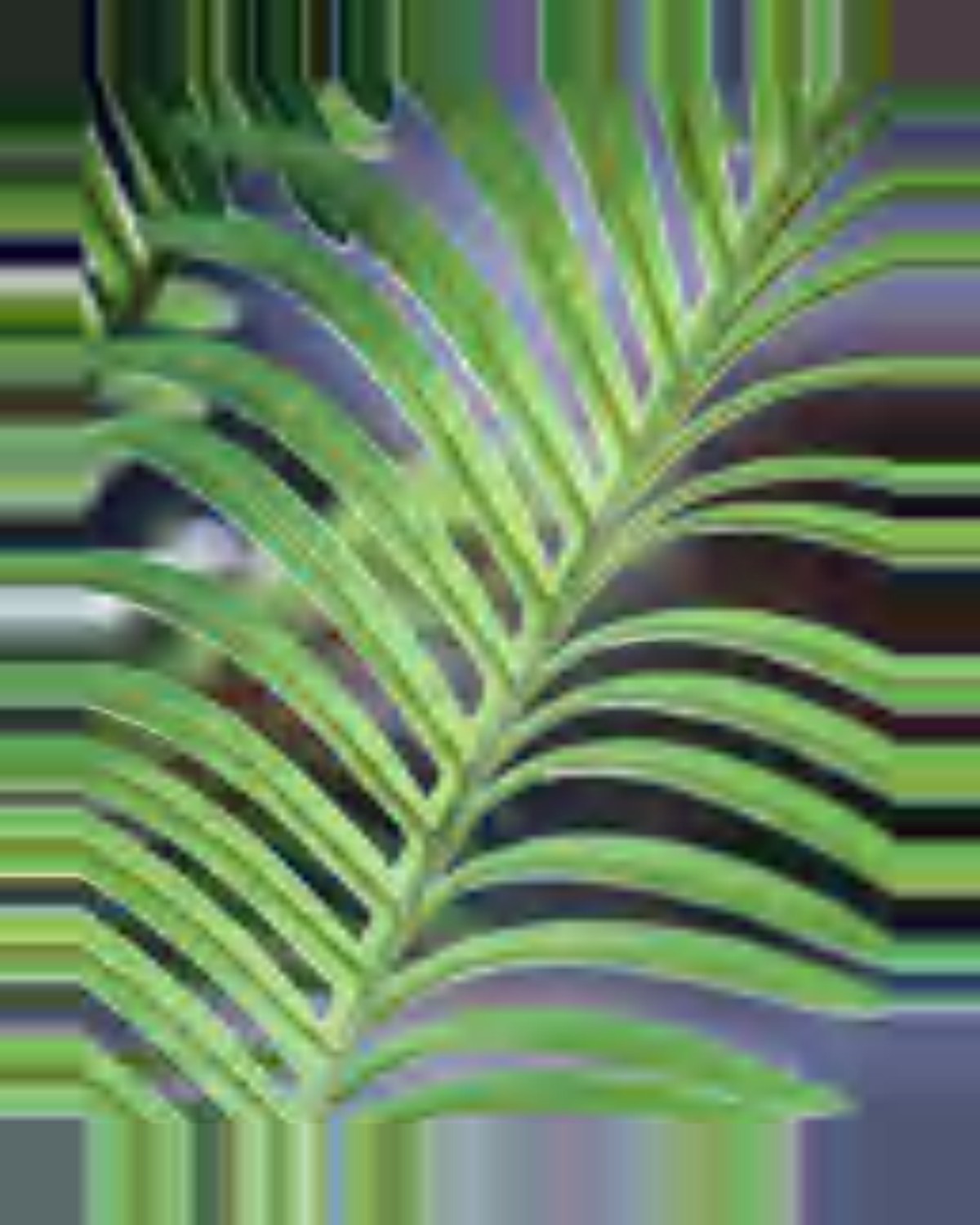 Garrigue Areca Palm Tree — close-up detail 8, artificial areca palm tree