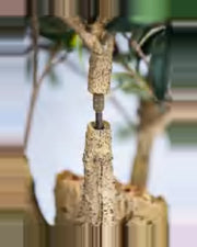 Gubbio Olive Tree — close-up detail 3, artificial olive tree
