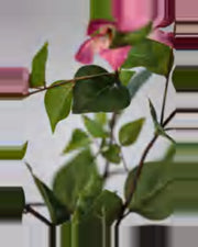 Calanque Bougainvillea Tree — close-up detail 3, artificial bougainvillea tree
