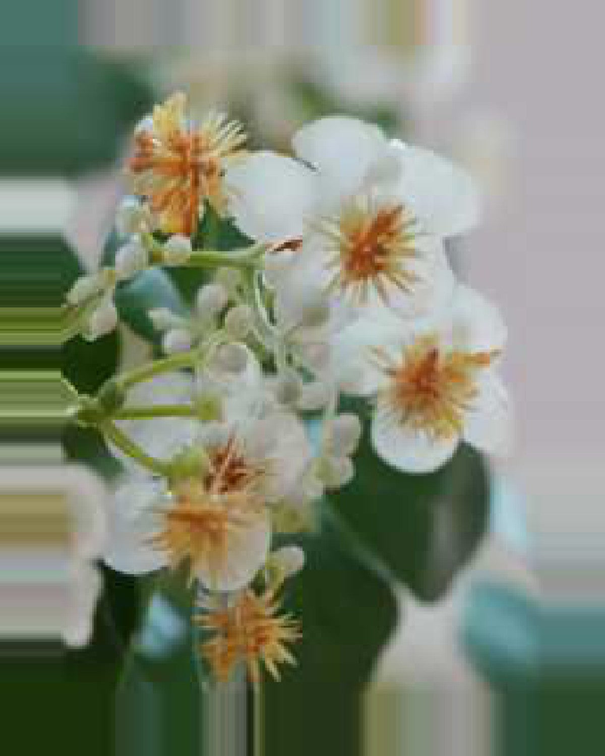 Vela Dogwood Tree — close-up detail 3, artificial dogwood tree