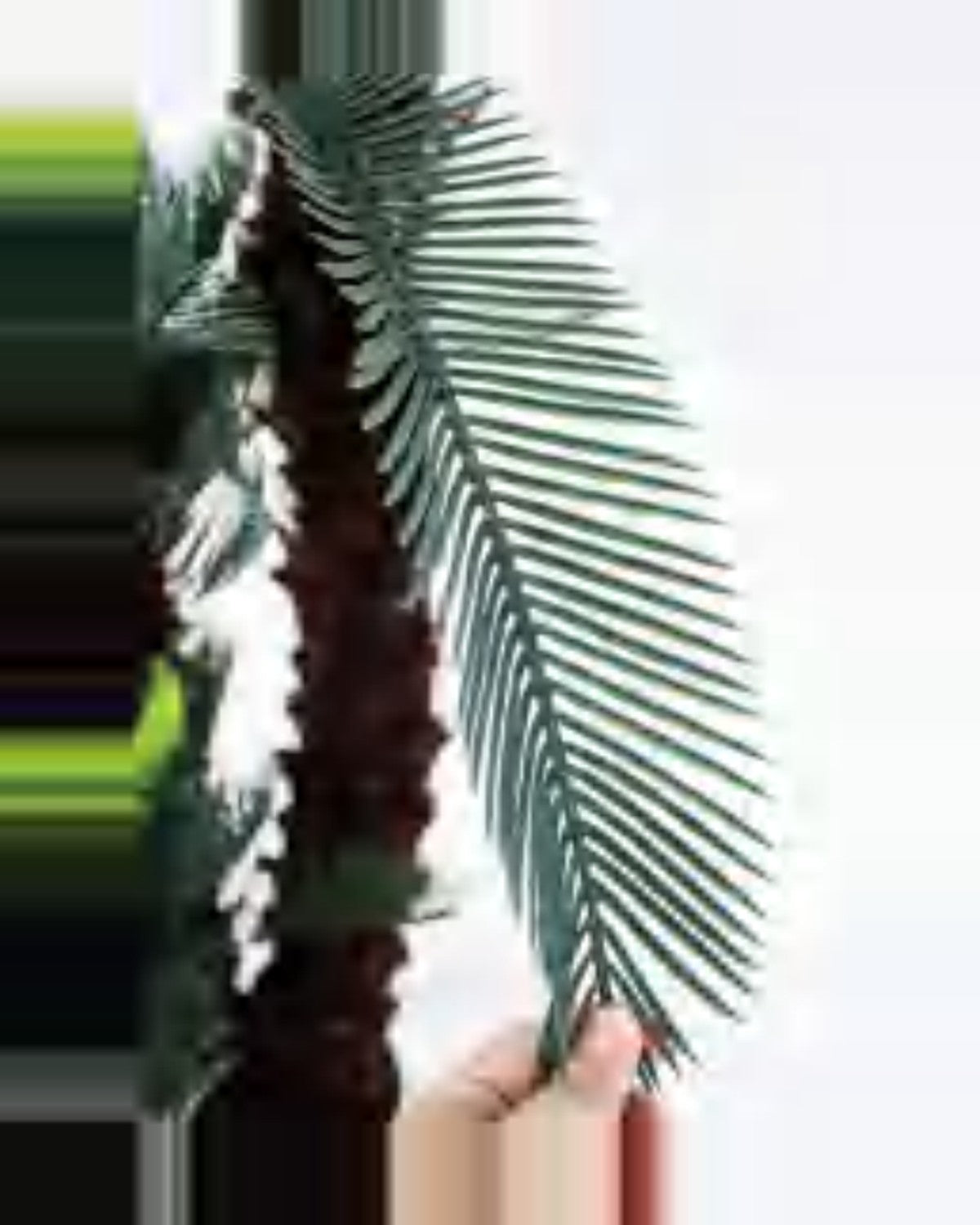 Amandier Sago Palm — close-up detail 3, artificial sago palm