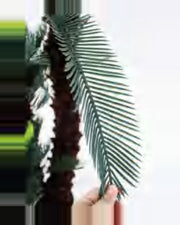 Amandier Sago Palm — close-up detail 3, artificial sago palm