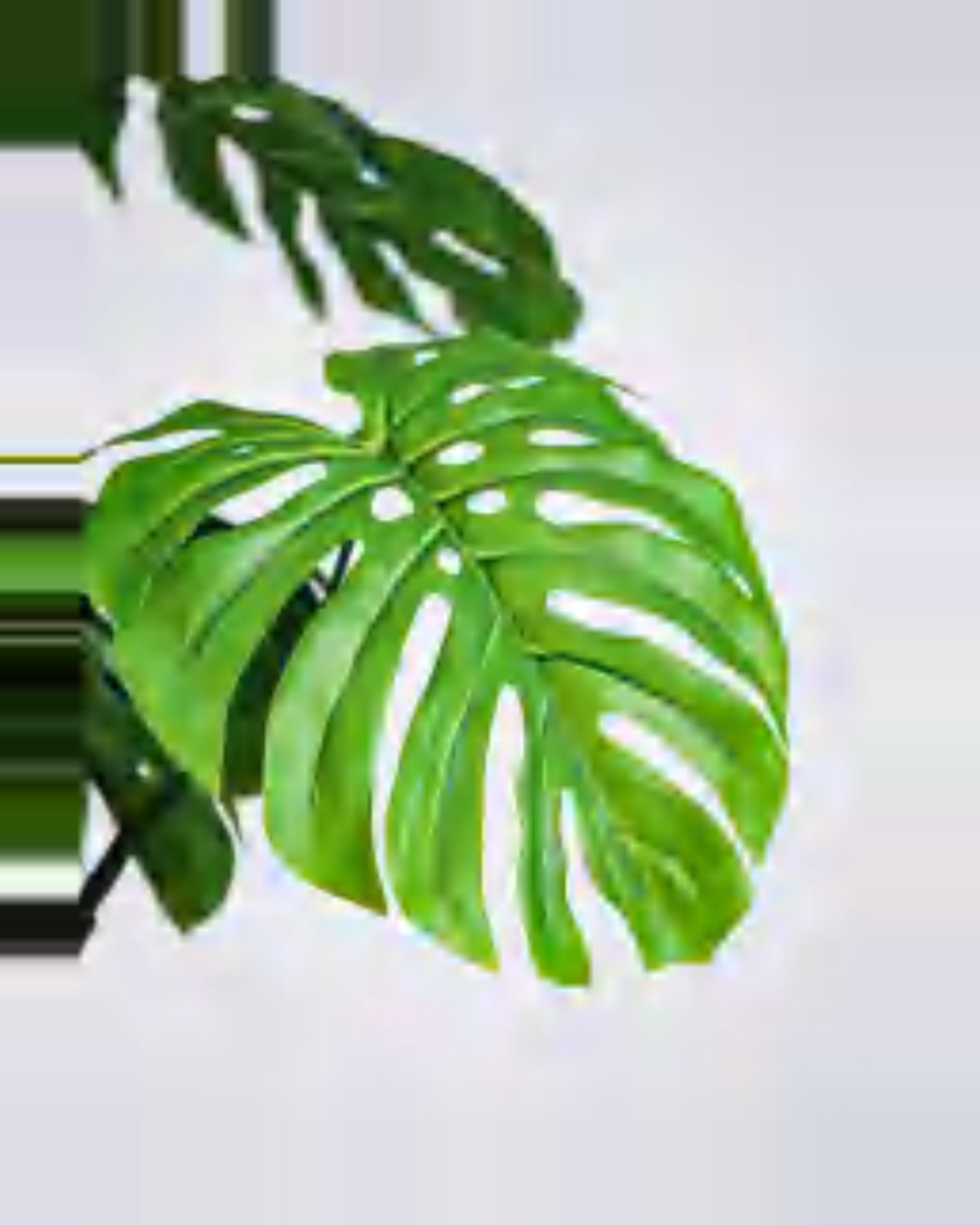 Sabbia Monstera Plant — close-up detail 3, artificial monstera plant