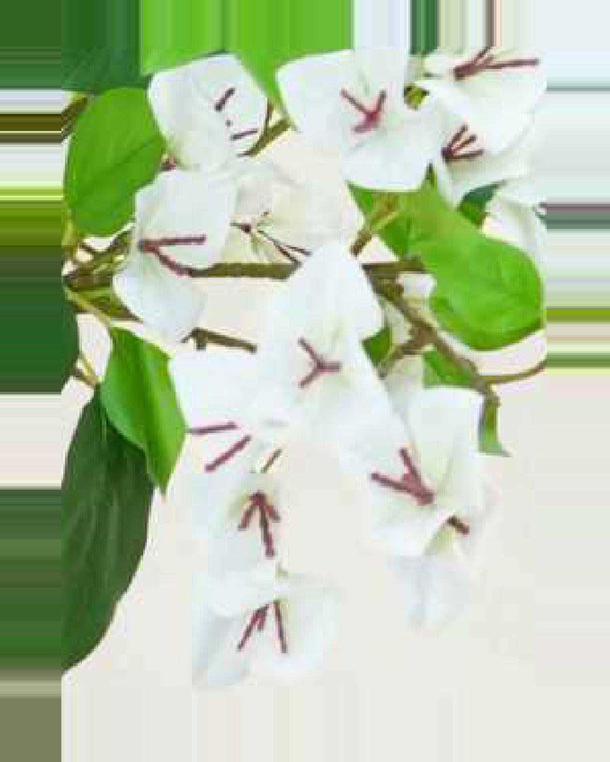 Sabbia Bougainvillea Tree — close-up detail 3, artificial bougainvillea tree